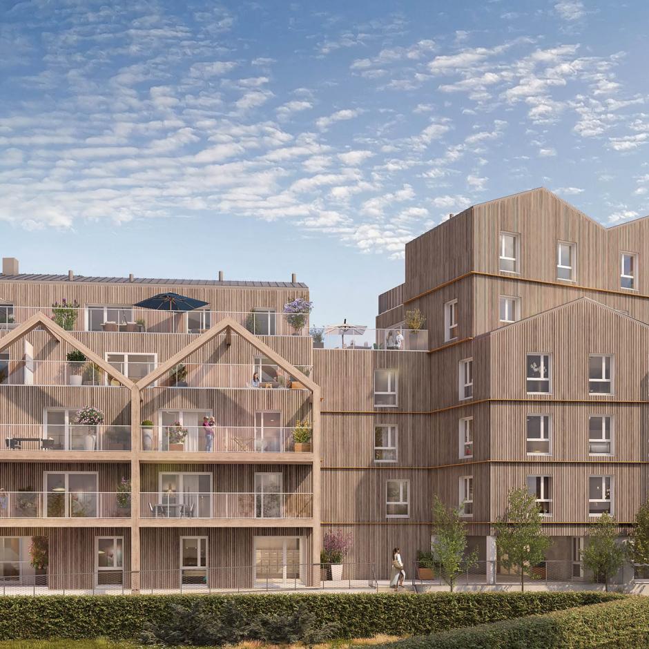 Perspective principale du programme