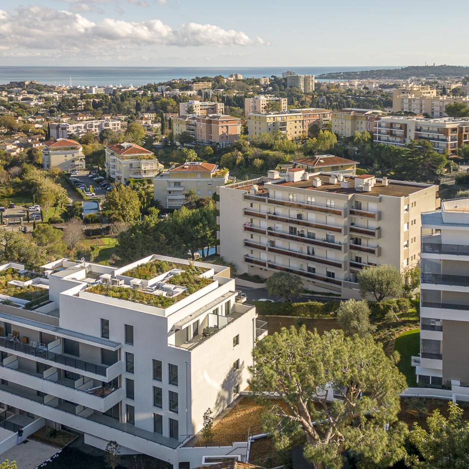 Perspective principale du programme