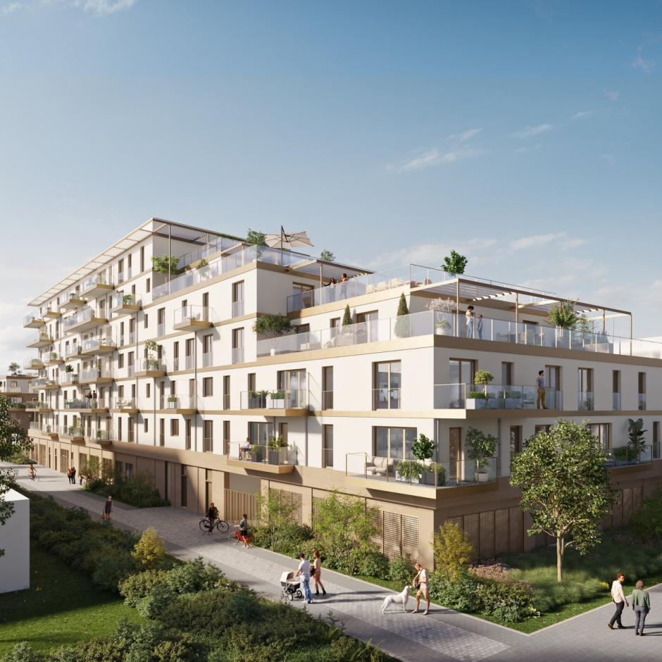 Perspective principale du programme