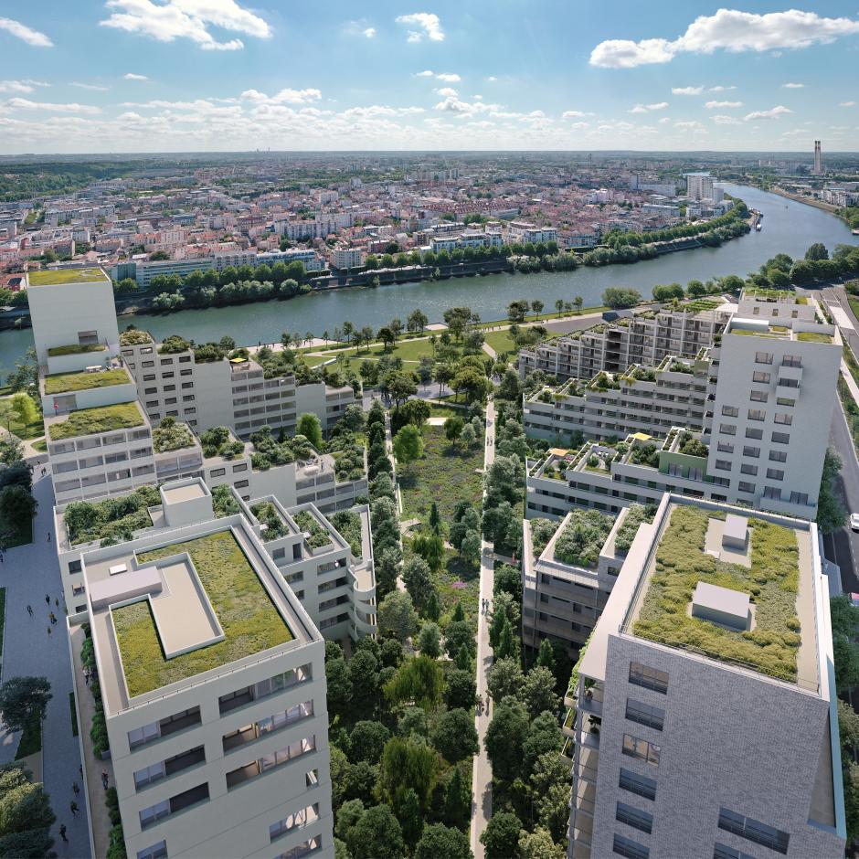 Perspective principale du programme