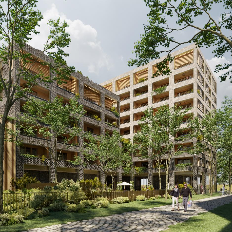 Perspective principale du programme