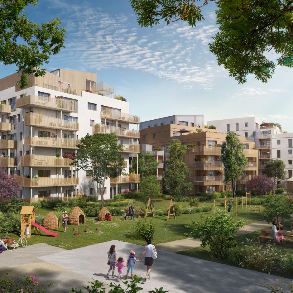 Perspective principale du programme