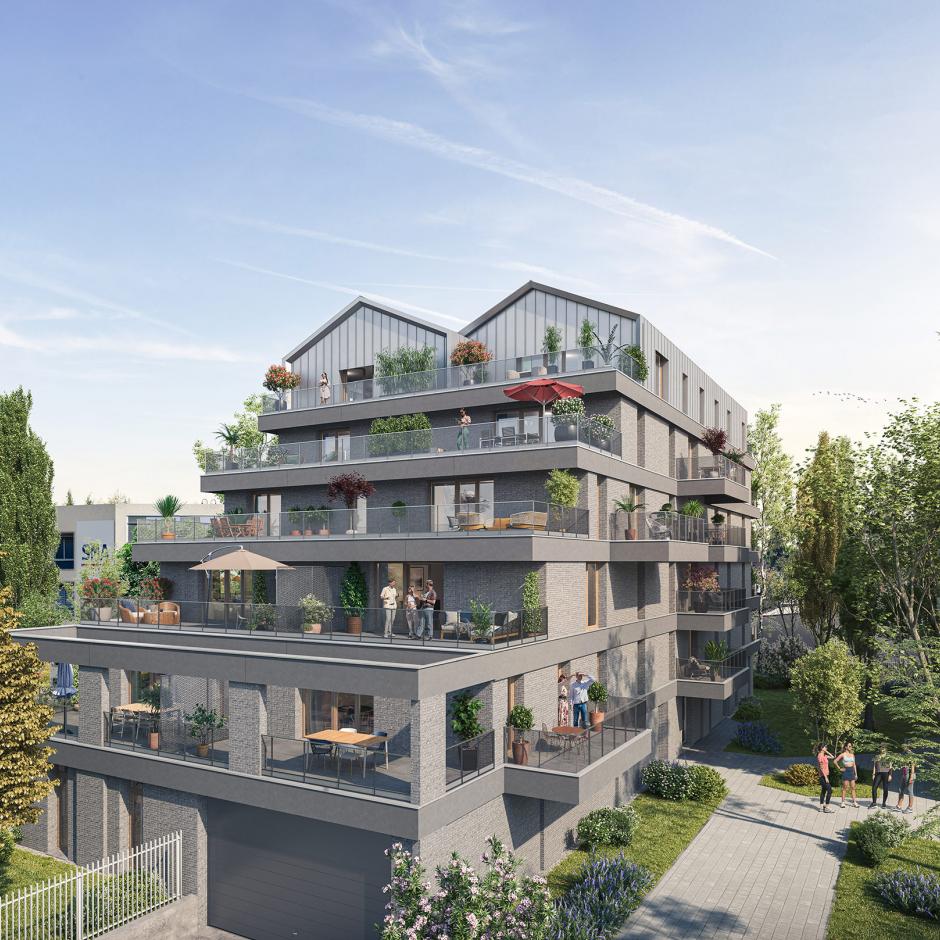 Perspective principale du programme