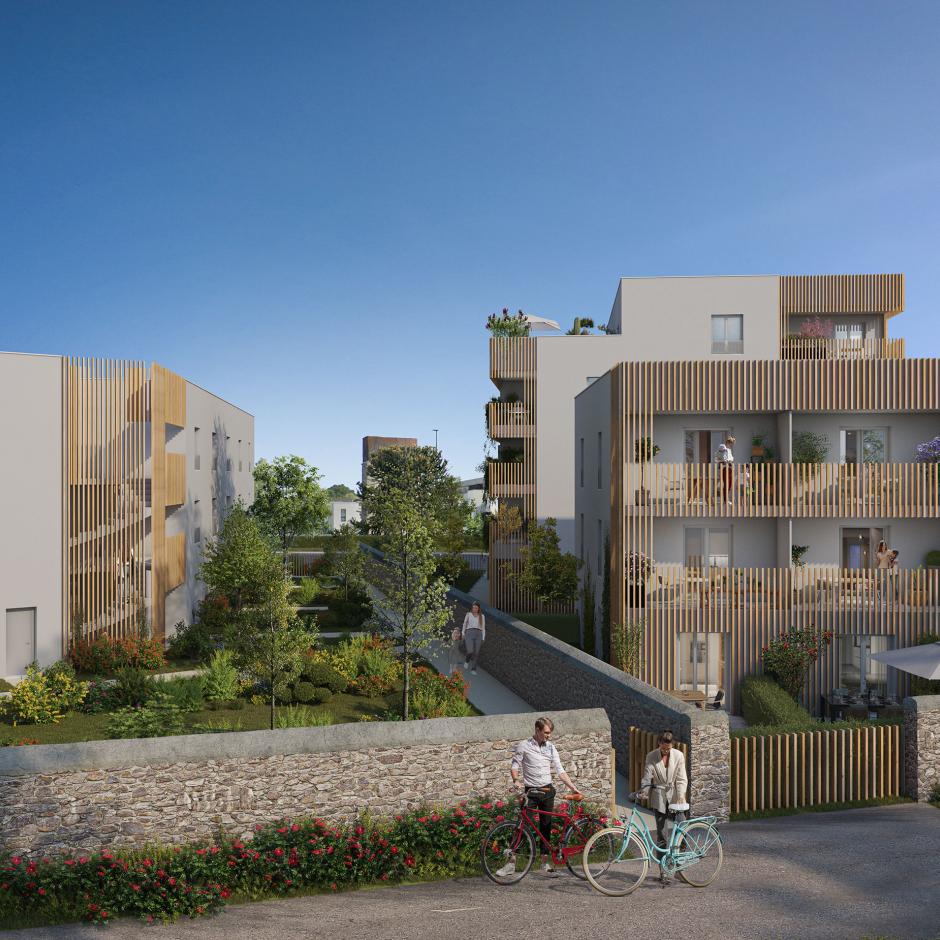 Perspective principale du programme