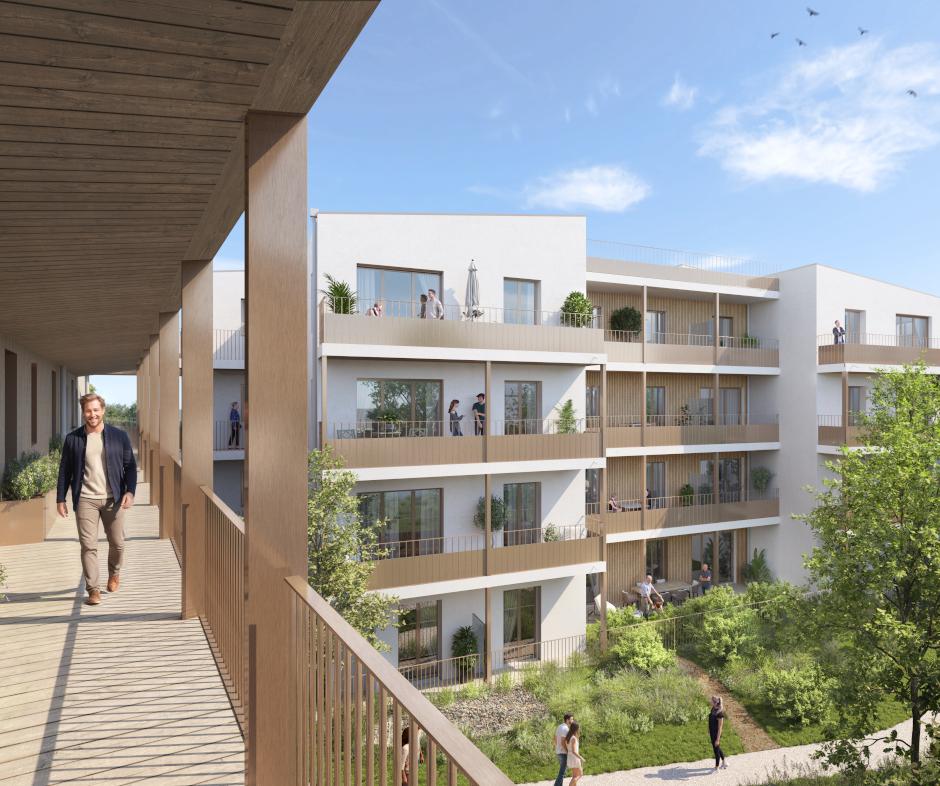 Perspective principale du programme