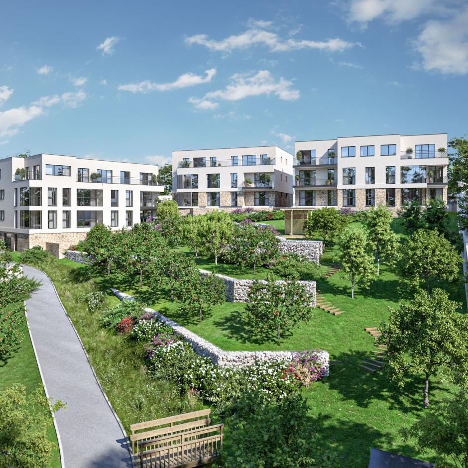 Perspective principale du programme