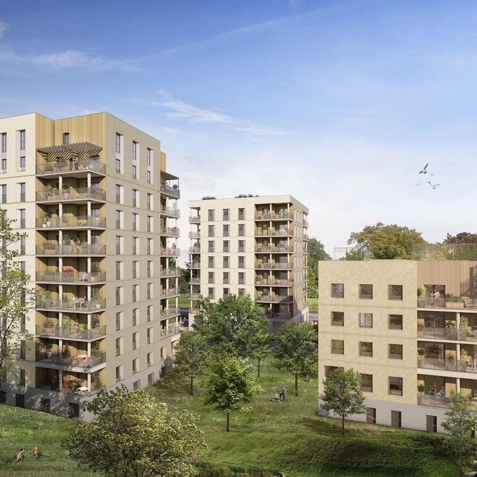 Perspective principale du programme