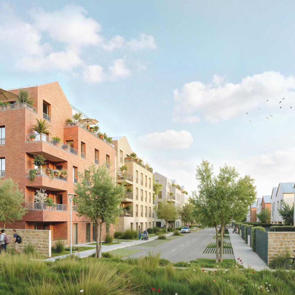 Perspective principale du programme