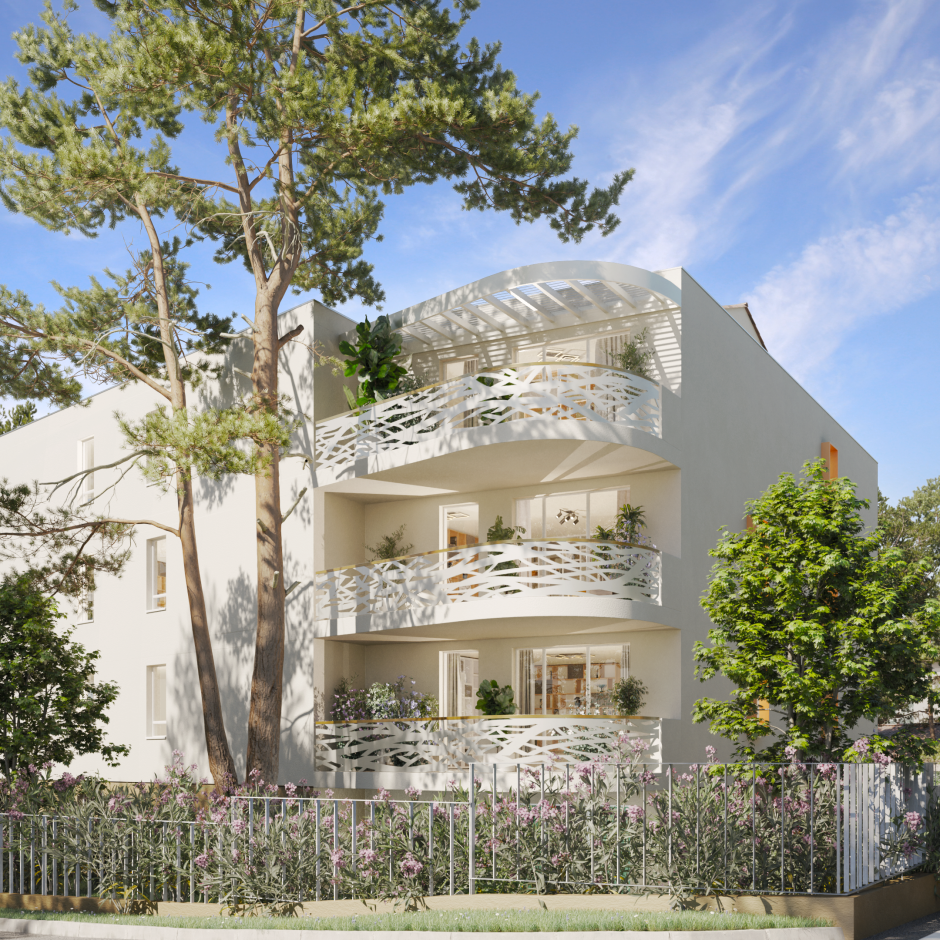 Perspective principale du programme