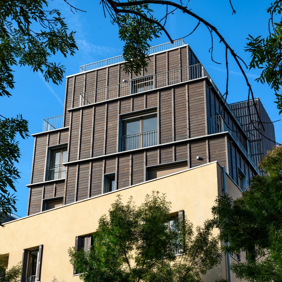 Perspective principale du programme