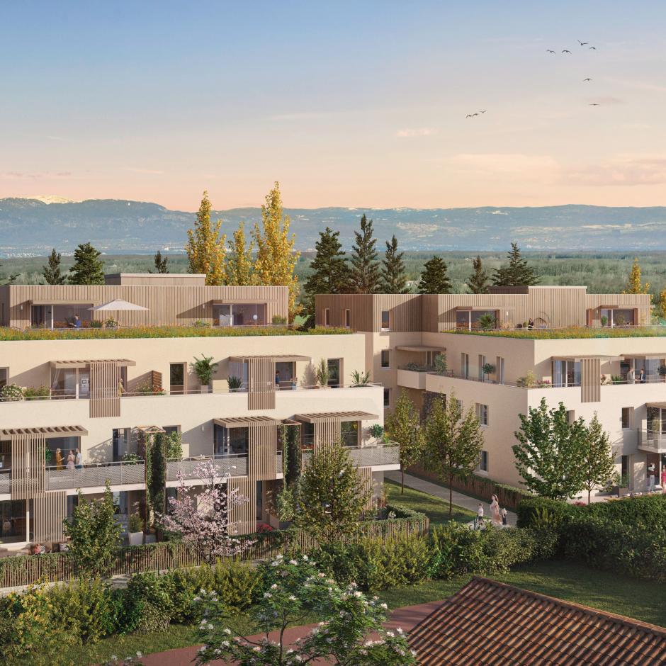 Perspective principale du programme