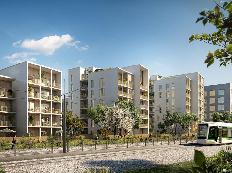 Perspective principale du programme