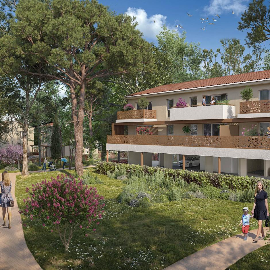 Perspective principale du programme