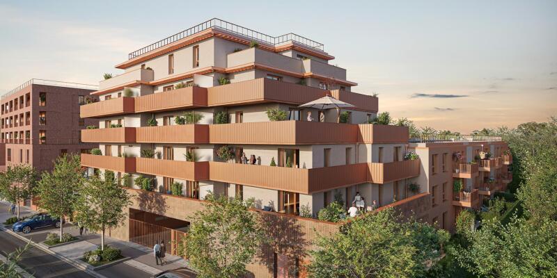 Perspective principale du programme