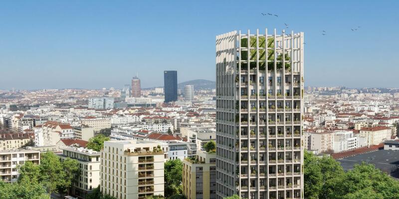 Perspective principale du programme