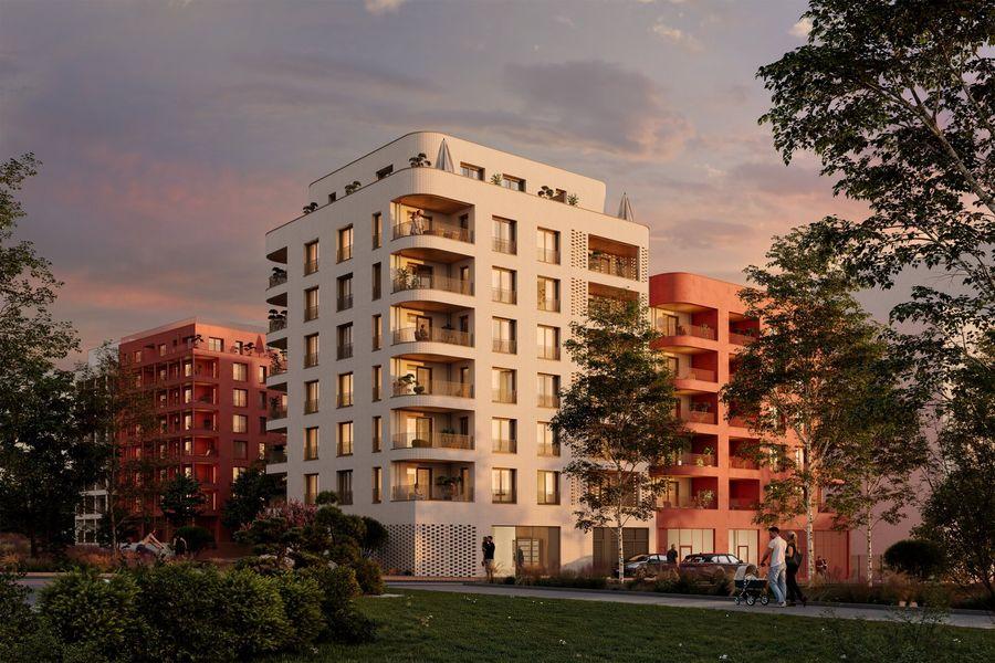 Perspective principale du programme