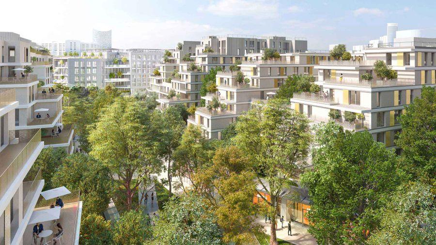 Perspective principale du programme