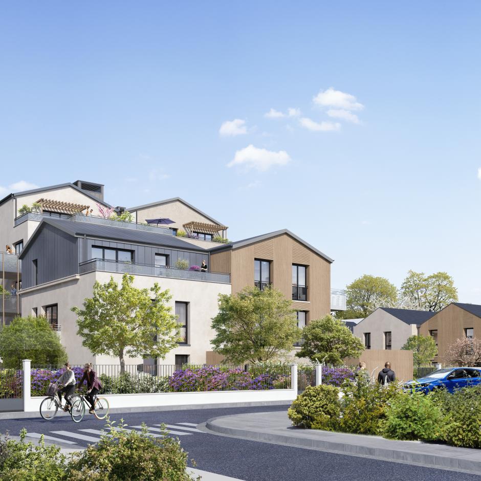 Perspective principale du programme