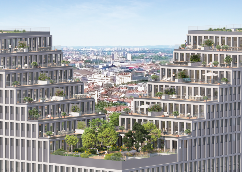 Perspective principale du programme