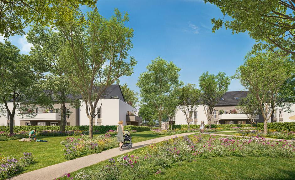 Perspective principale du programme