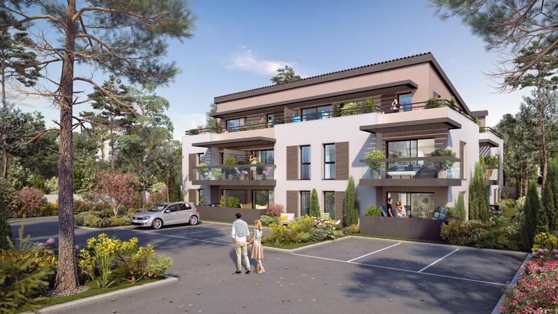 Perspective principale du programme