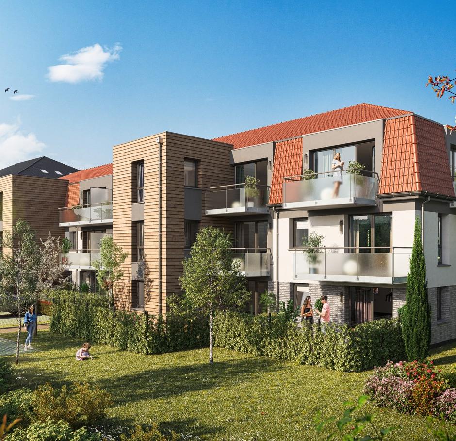 Perspective principale du programme