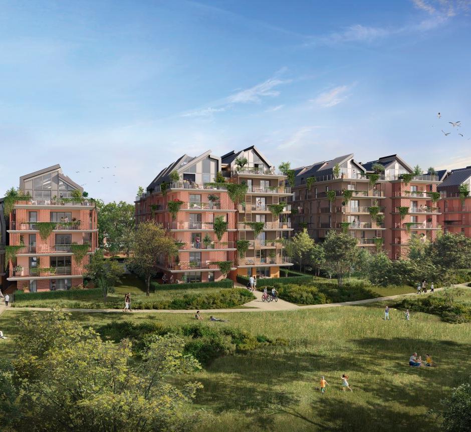 Perspective principale du programme