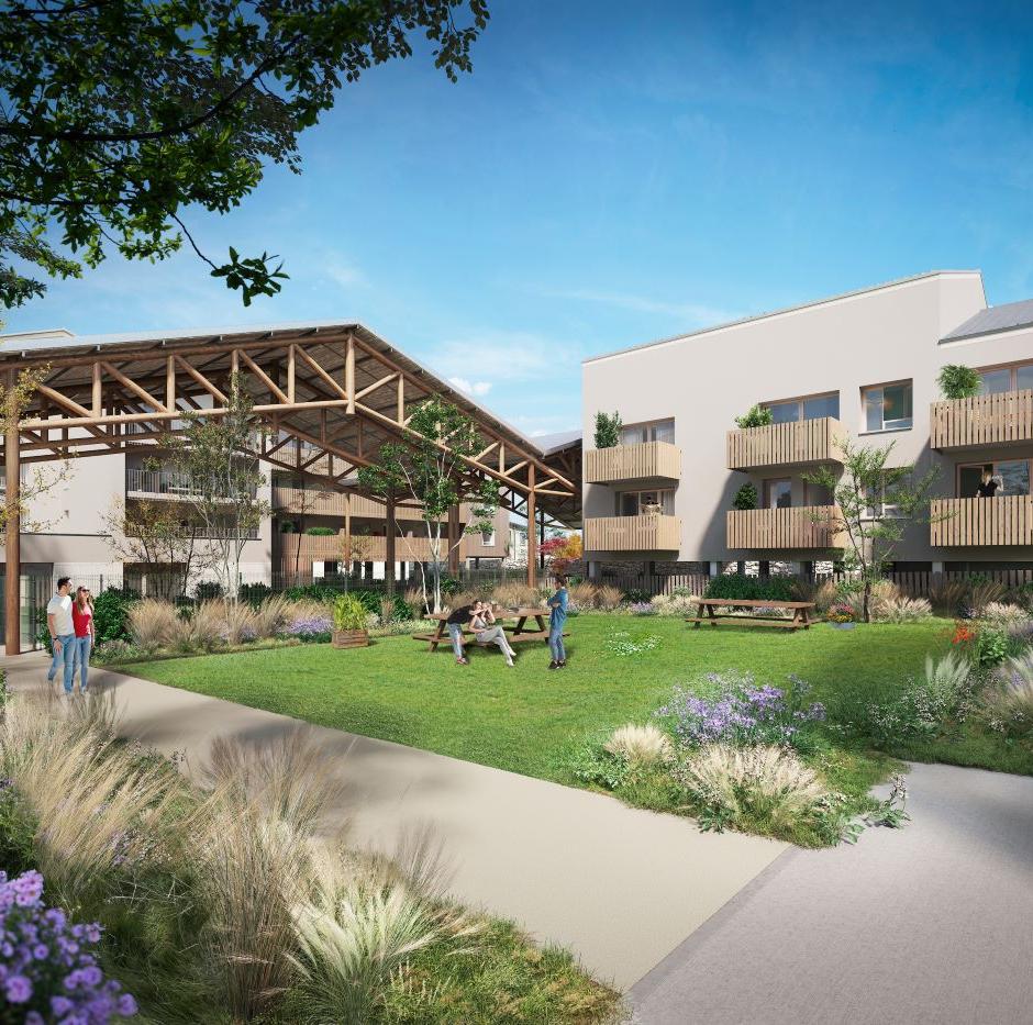 Perspective principale du programme