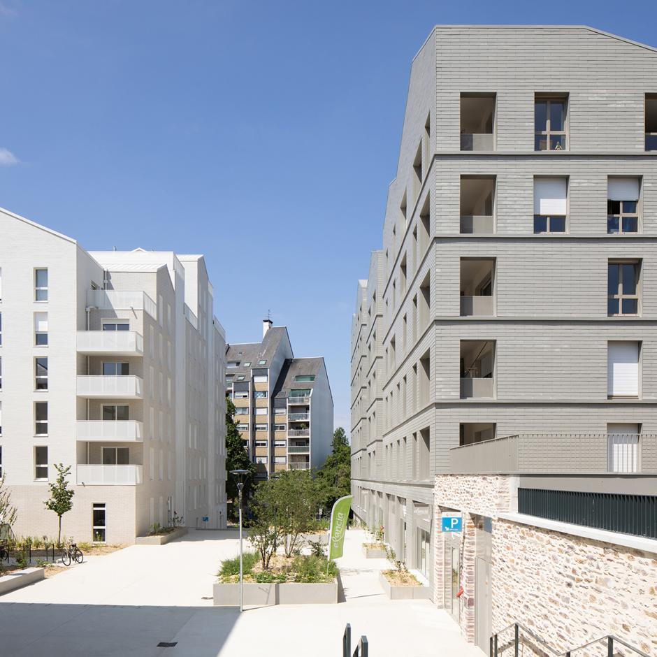 Perspective principale du programme