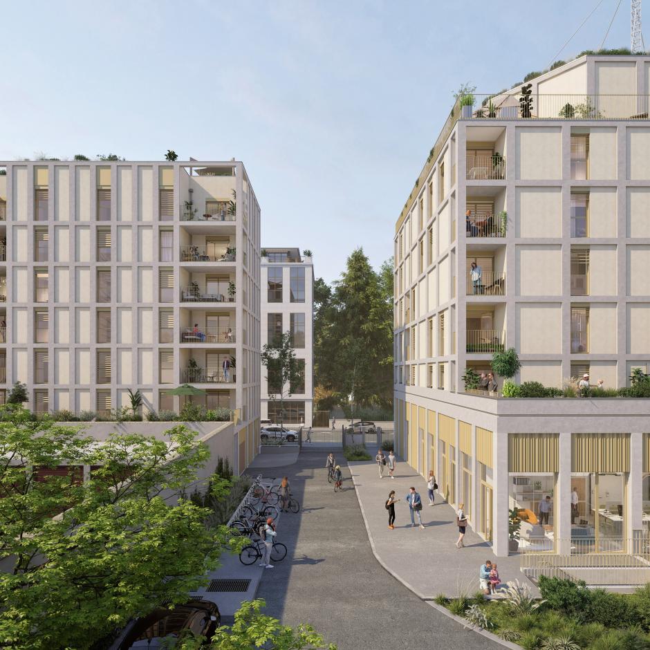 Perspective principale du programme