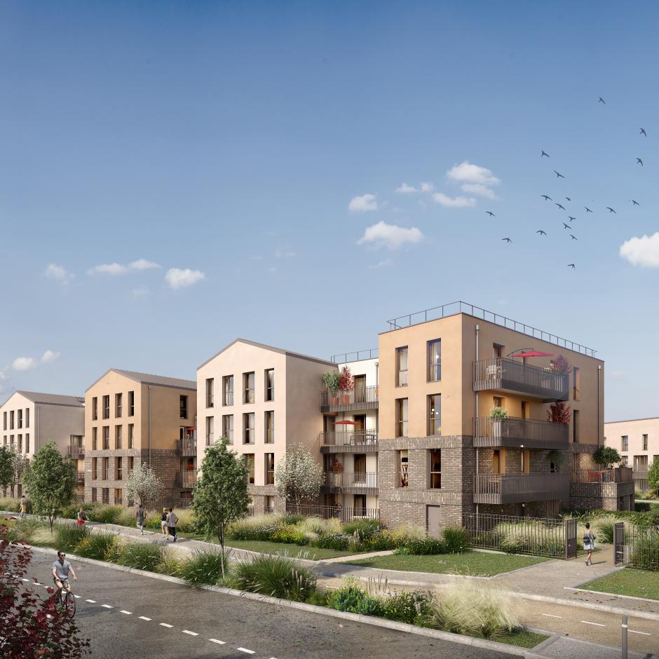 Perspective principale du programme