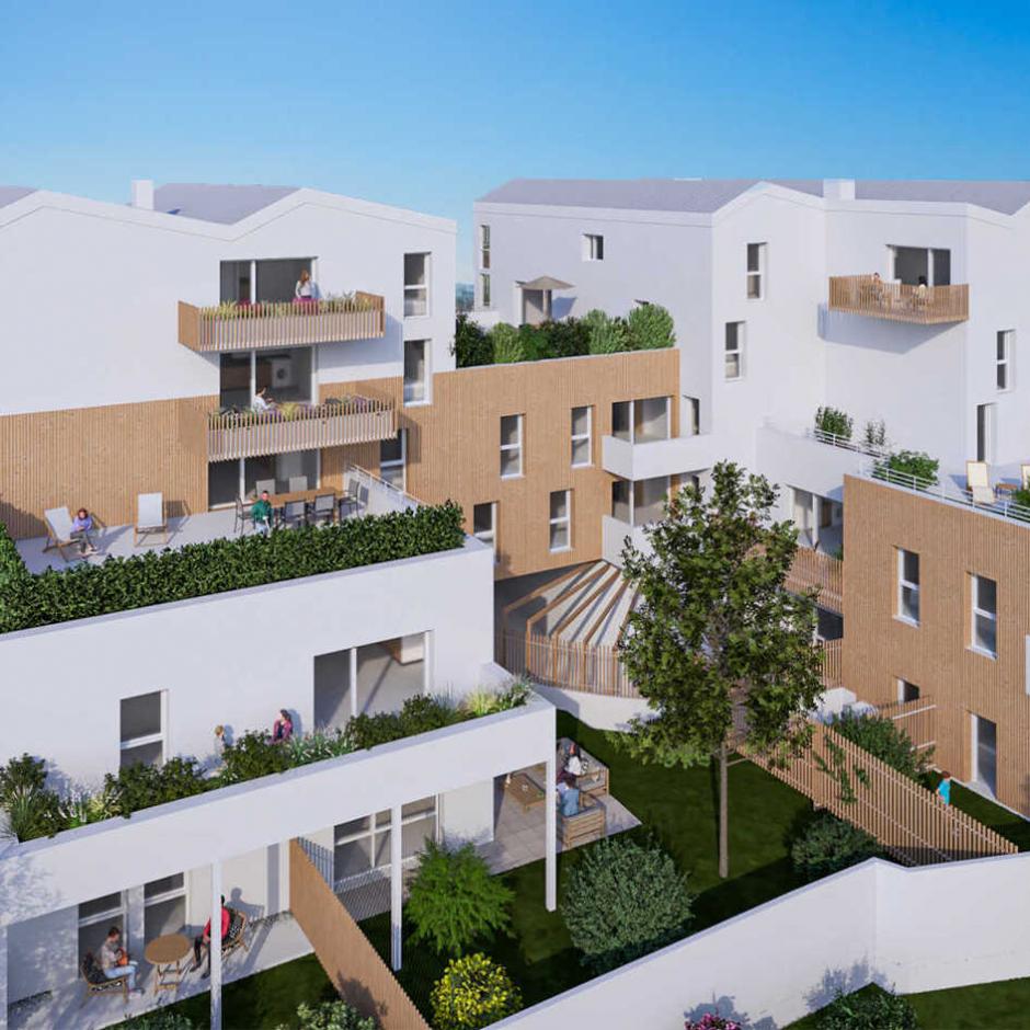 Perspective principale du programme