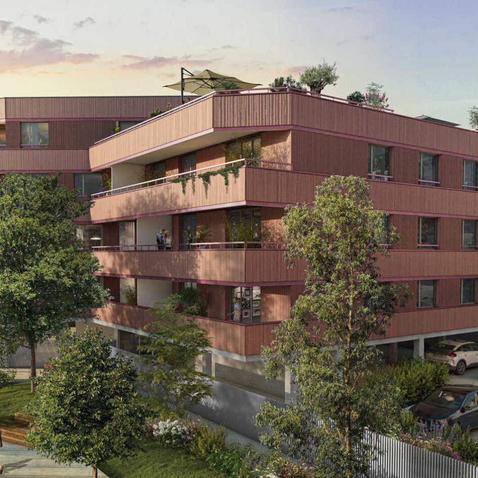 Perspective principale du programme