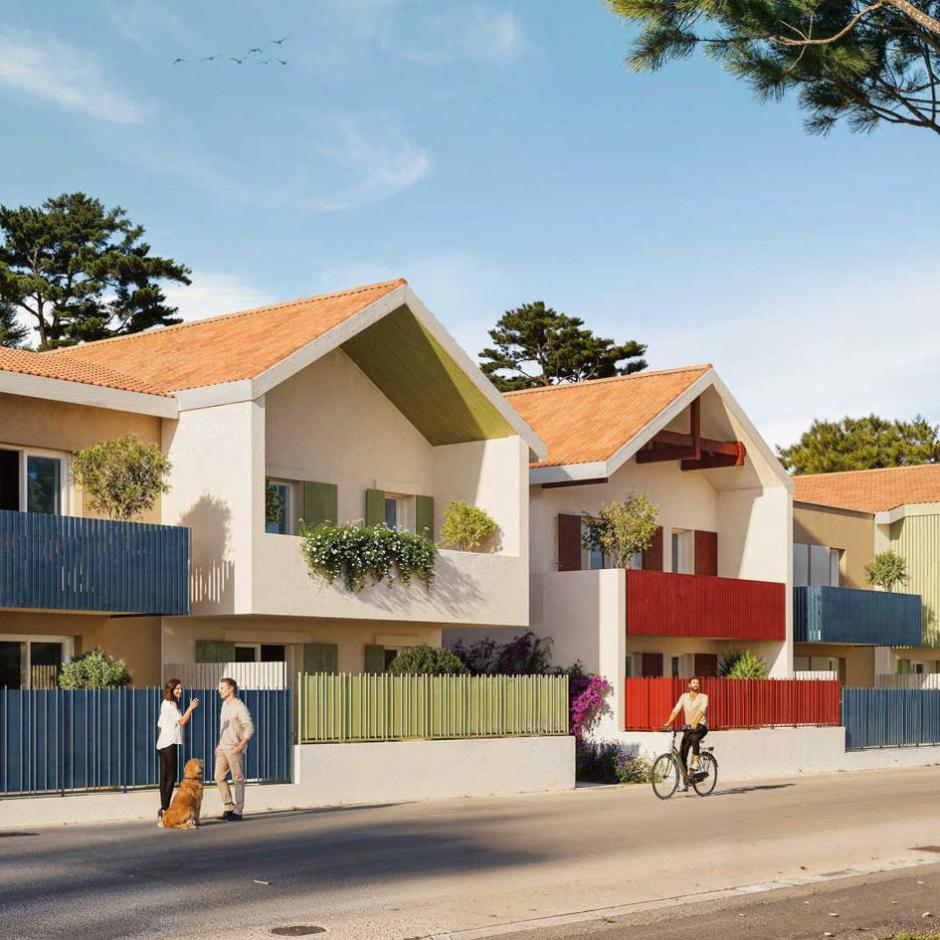 Perspective principale du programme