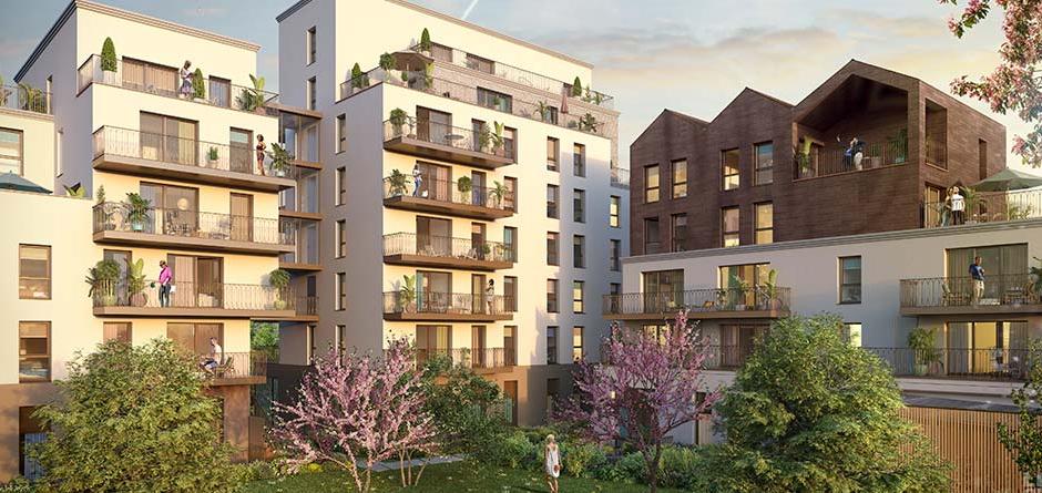 Perspective principale du programme