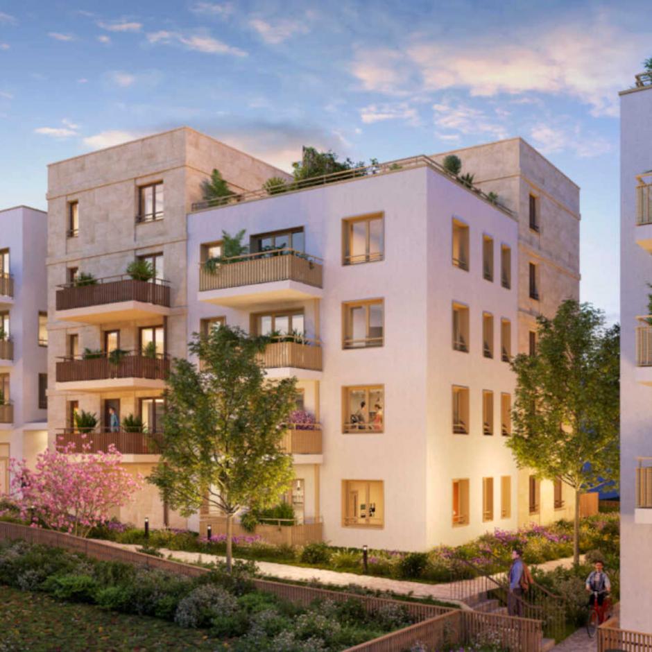 Perspective principale du programme