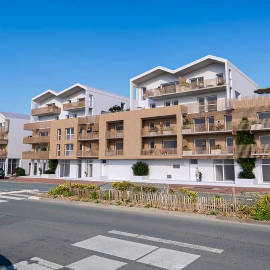 Perspective principale du programme