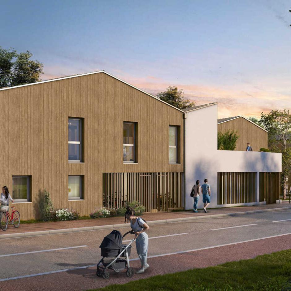 Perspective principale du programme