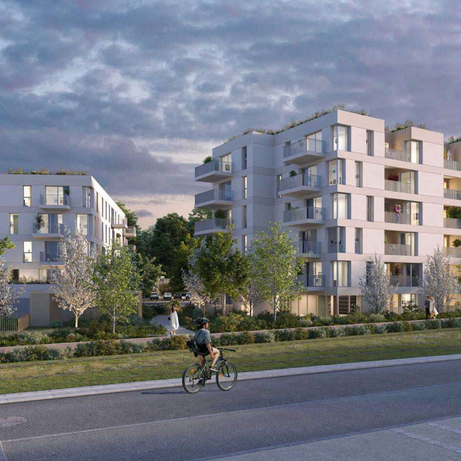 Perspective principale du programme