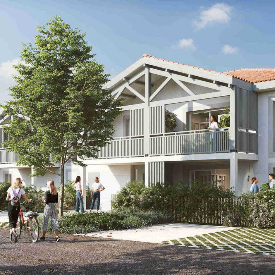 Perspective principale du programme