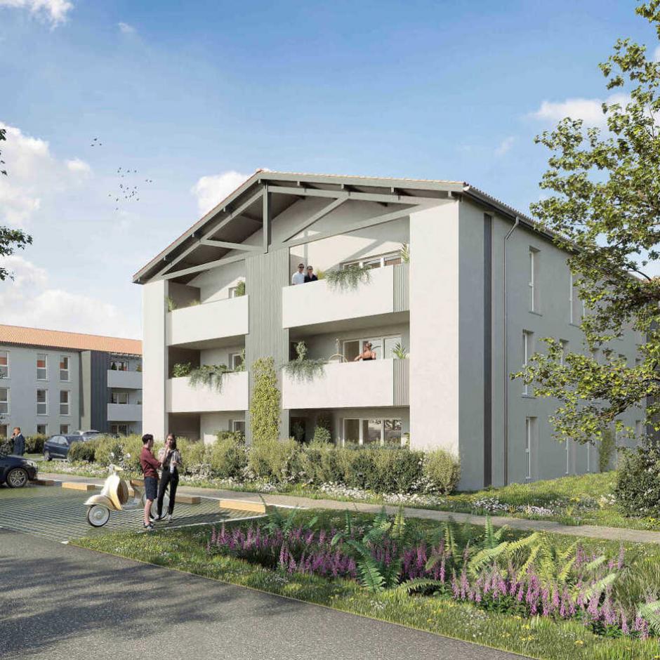 Perspective principale du programme