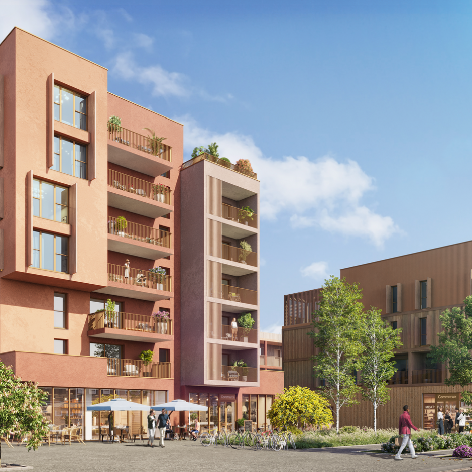 Perspective principale du programme