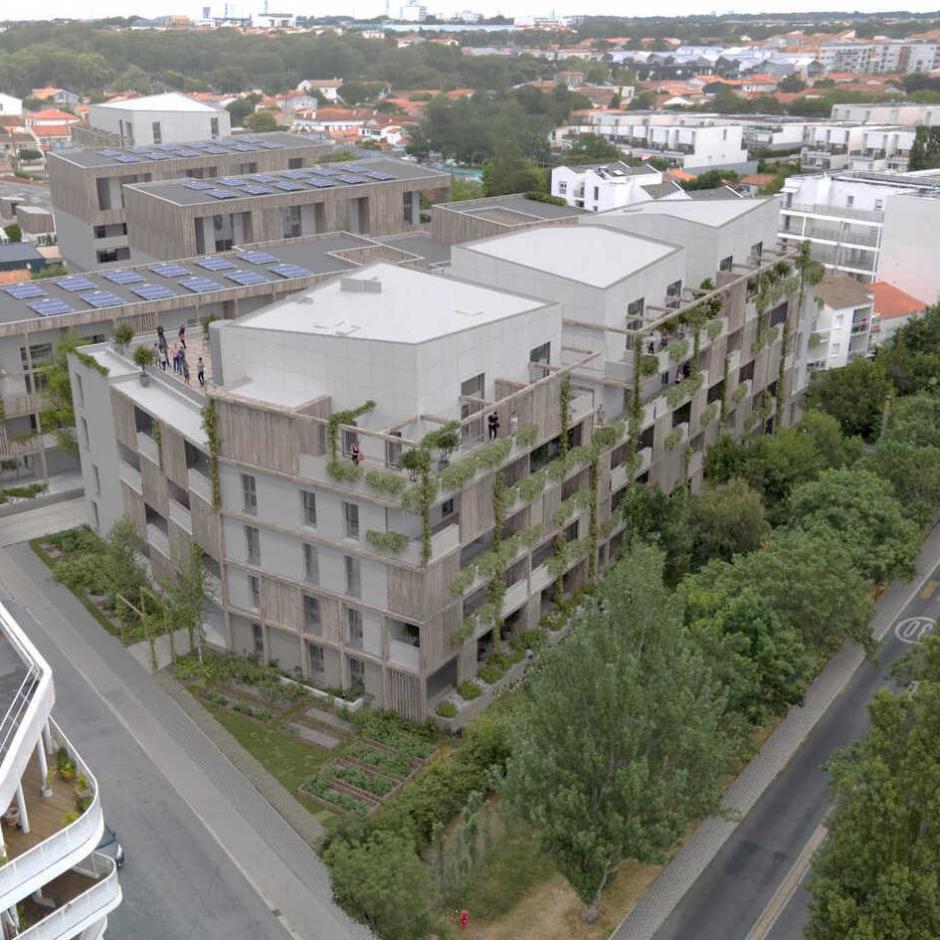 Perspective principale du programme