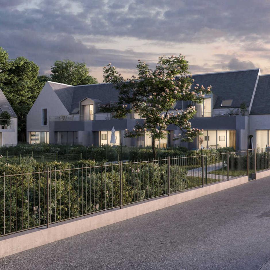 Perspective principale du programme