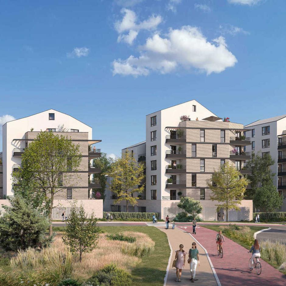 Perspective principale du programme