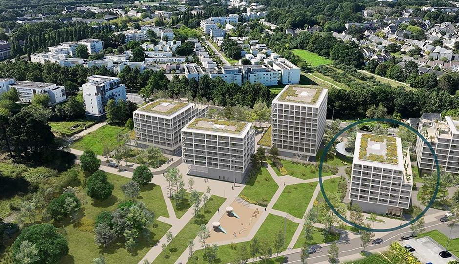 Perspective principale du programme