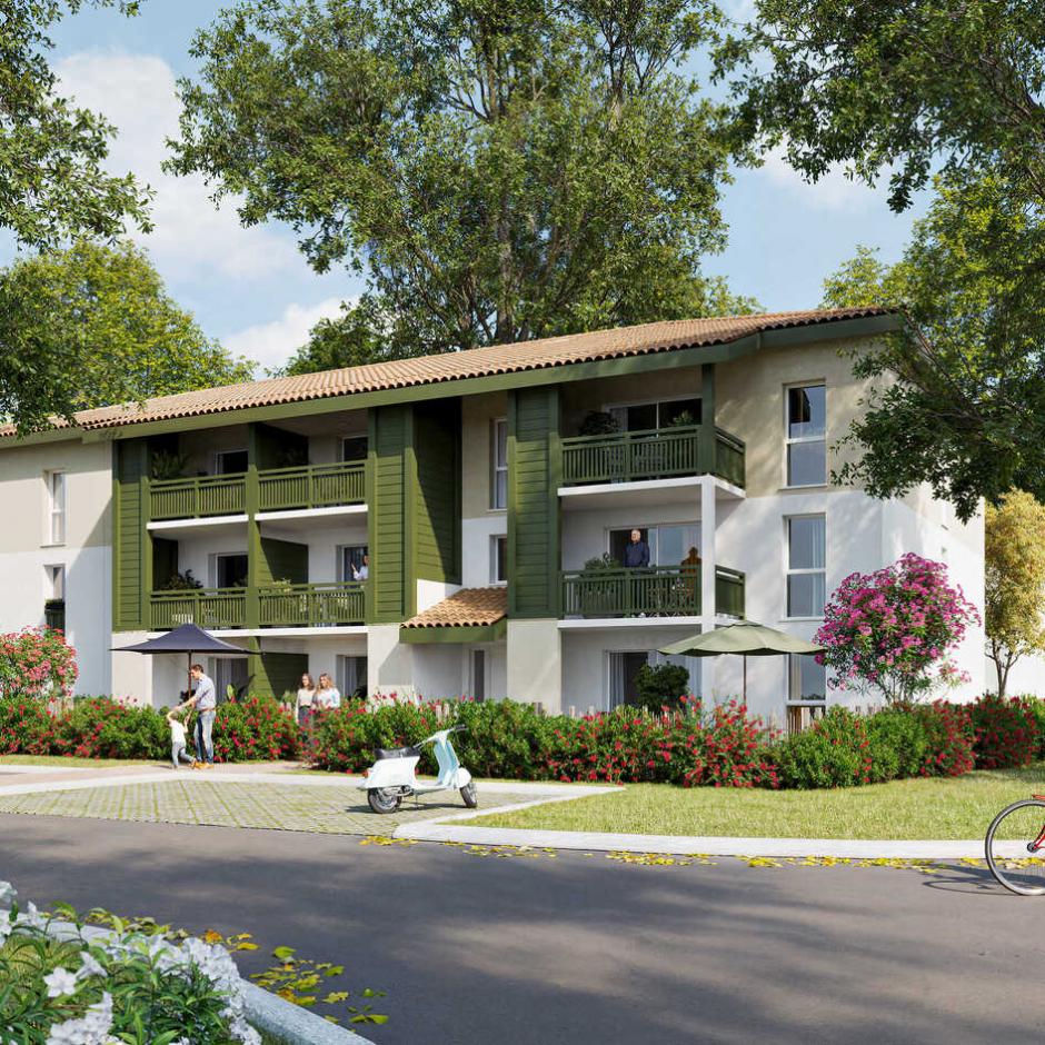 Perspective principale du programme