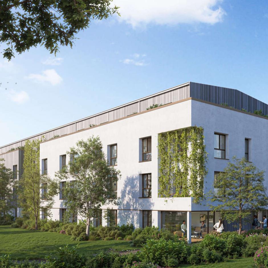 Perspective principale du programme