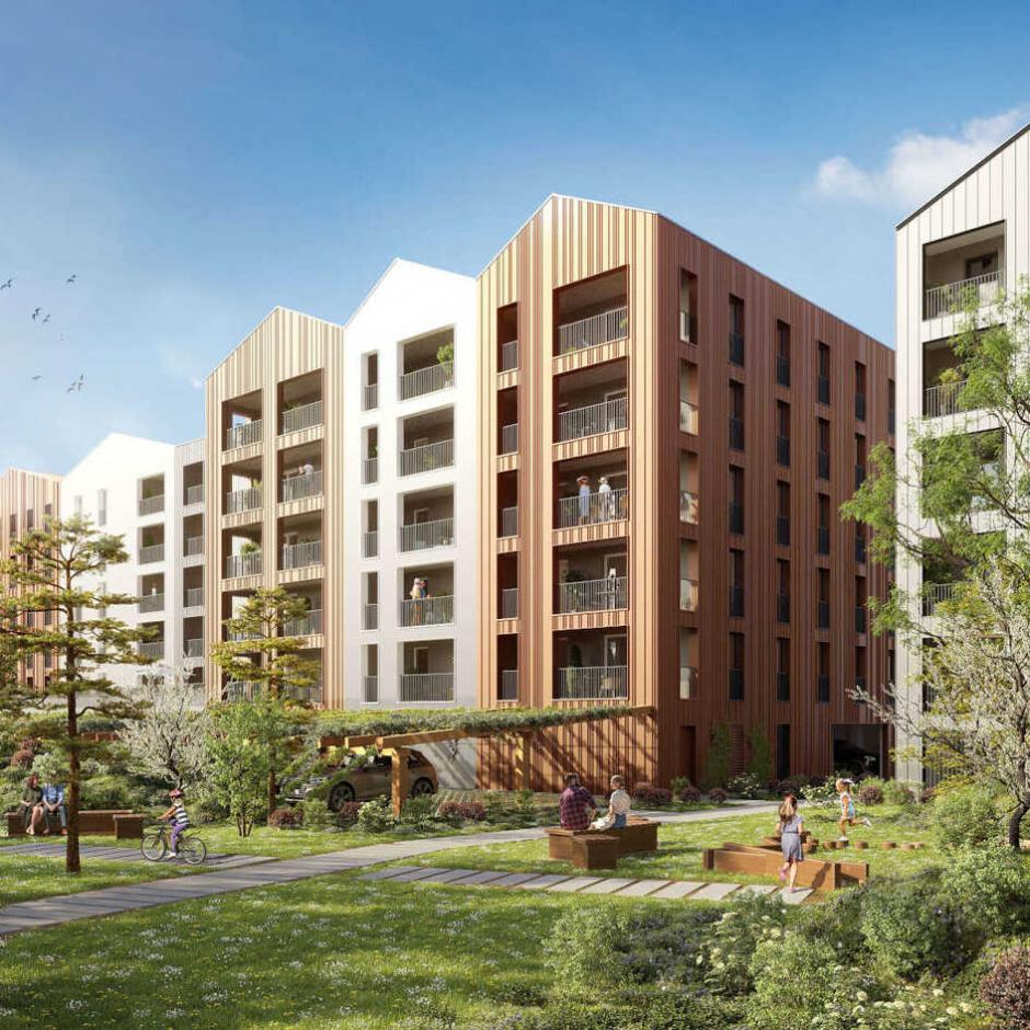 Perspective principale du programme