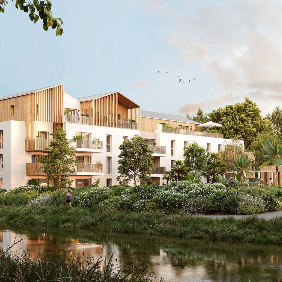 Perspective principale du programme